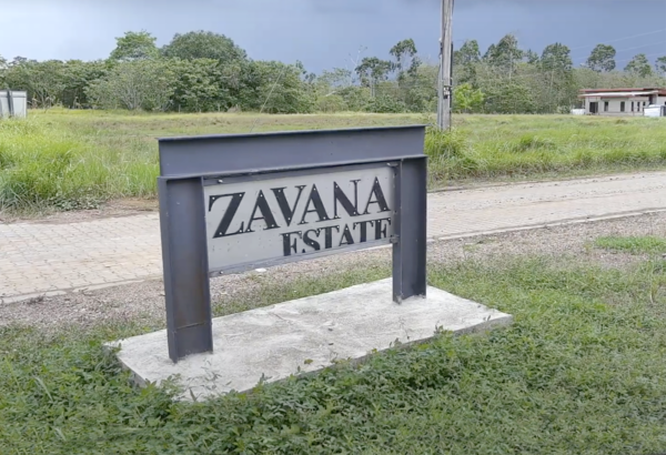 Zavana Estate